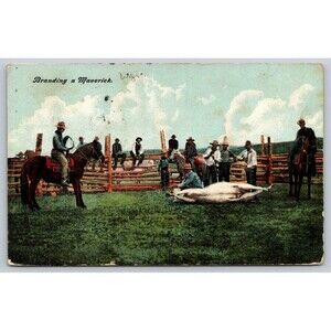Postcard Wyoming Branding a Maverick Cowboys Horses Clouds Posted 1908 Antique